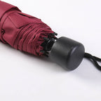 Foldable Umbrella Harry Potter Gryffindor-4